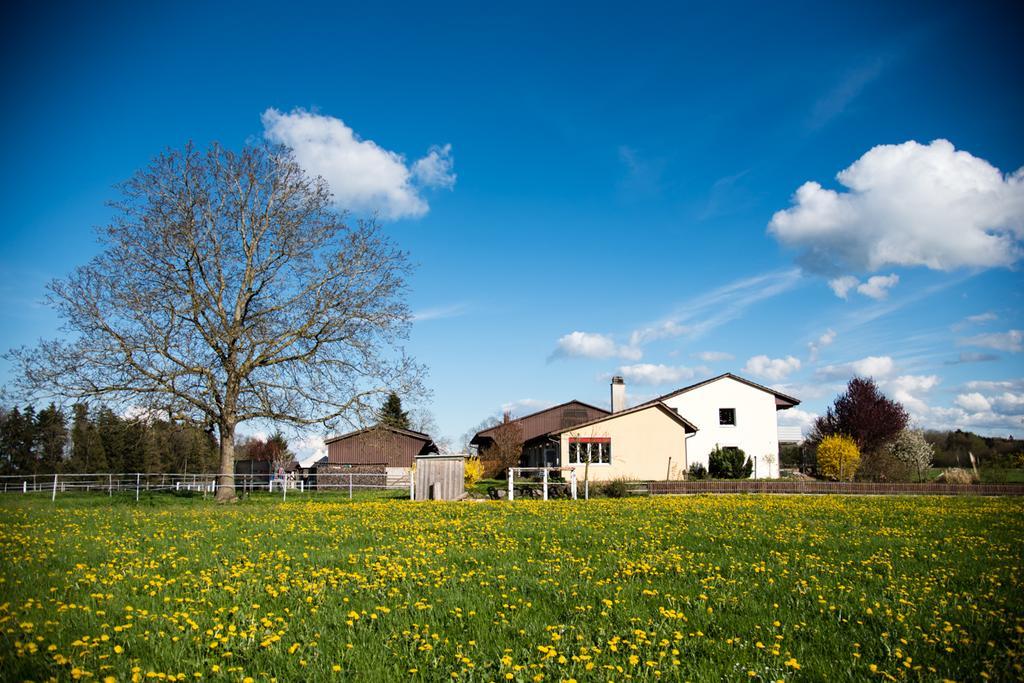 Hof-Tschannen Lengwil Exterior photo